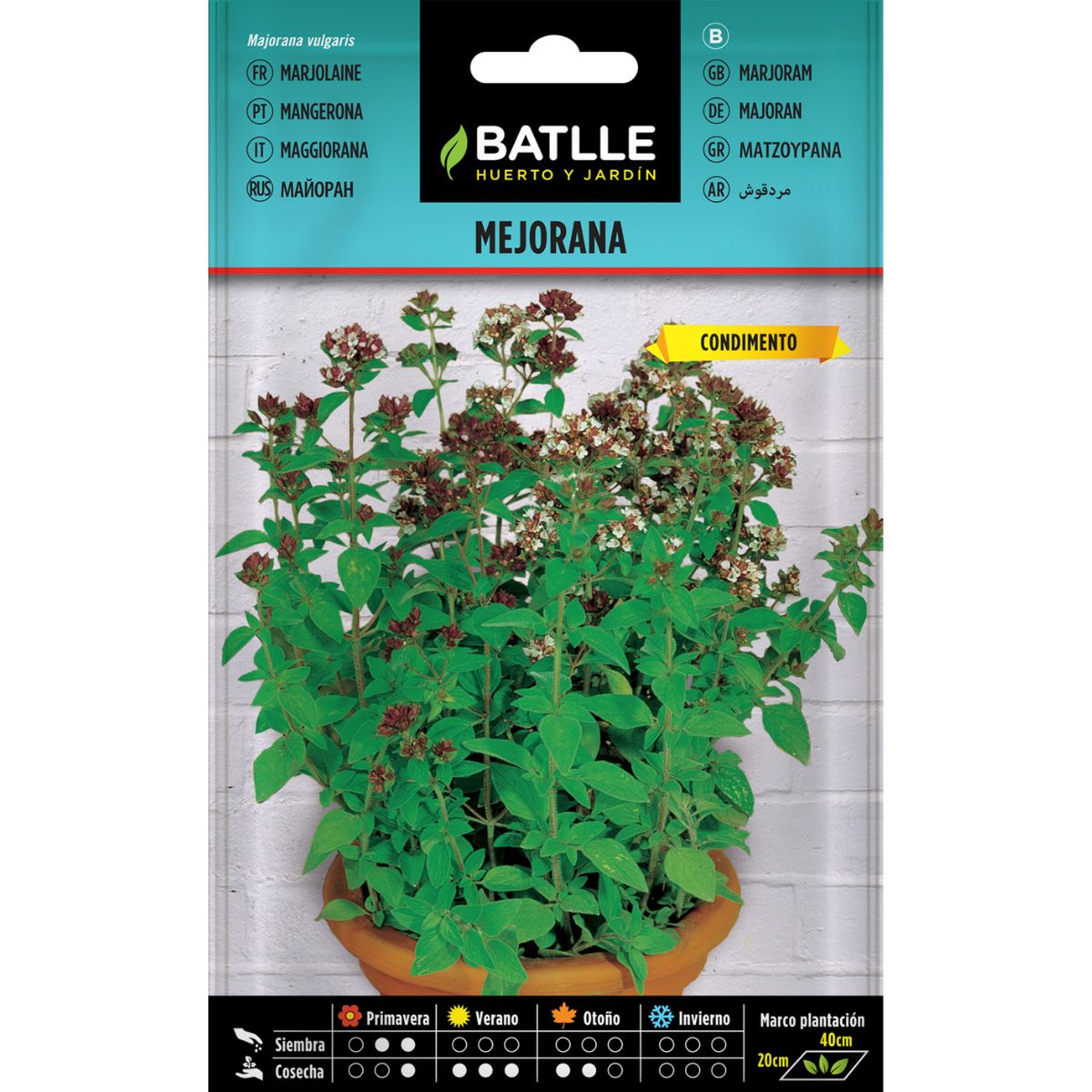 Majoran-Samen Batlle