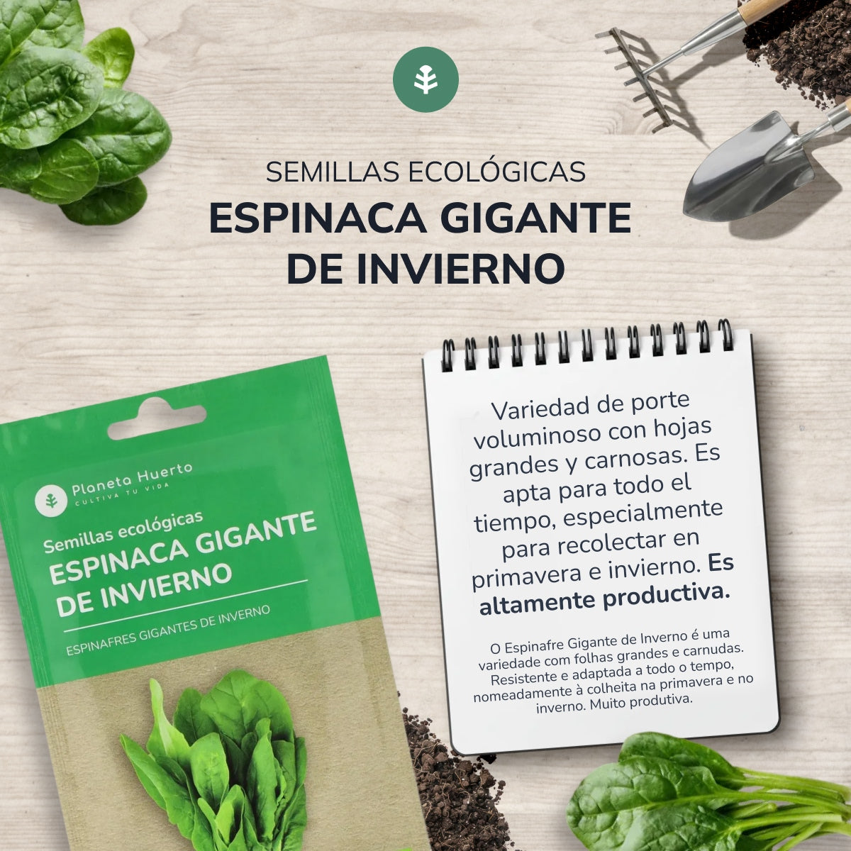 Organiczne nasiona szpinaku zimowego Planeta Huerto