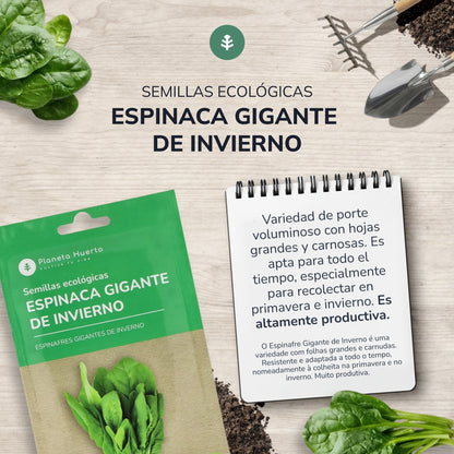 Organiczne nasiona szpinaku zimowego Planeta Huerto
