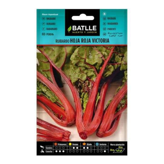 Victoria Batlle red leaf rhubarb seeds