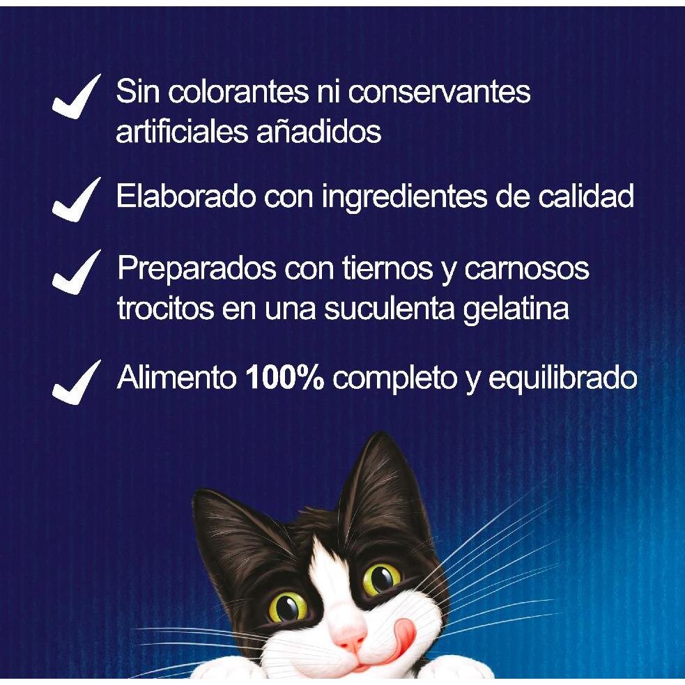 FELIX Fantastic Wybór smaków w galaretkach, zestaw mieszany 44 x 85 g Kot