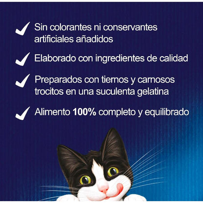 FELIX Fantastic Wybór smaków w galaretkach, zestaw mieszany 44 x 85 g Kot