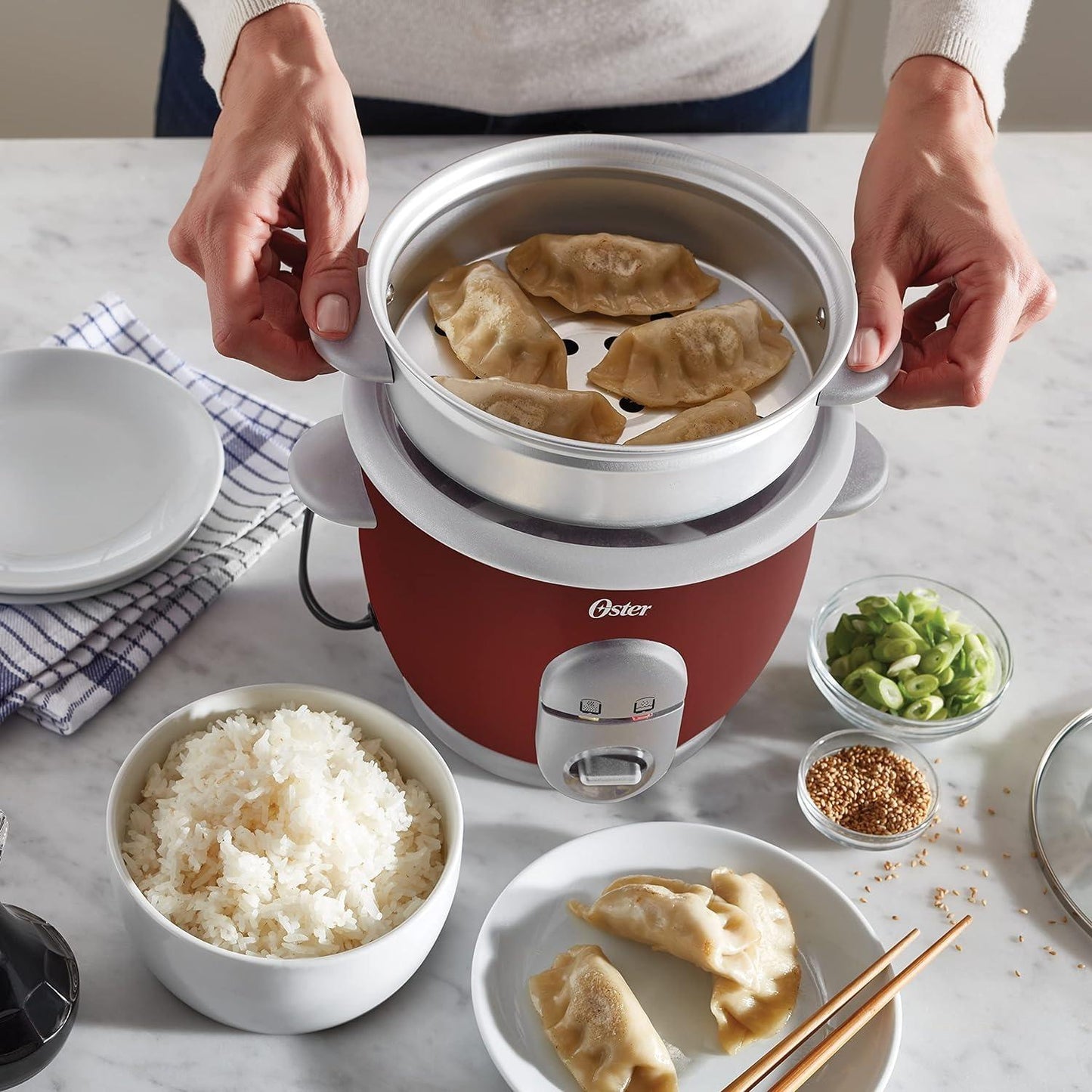 CKSTRC4723 0.6 L Oster Rice Cooker and Steamer