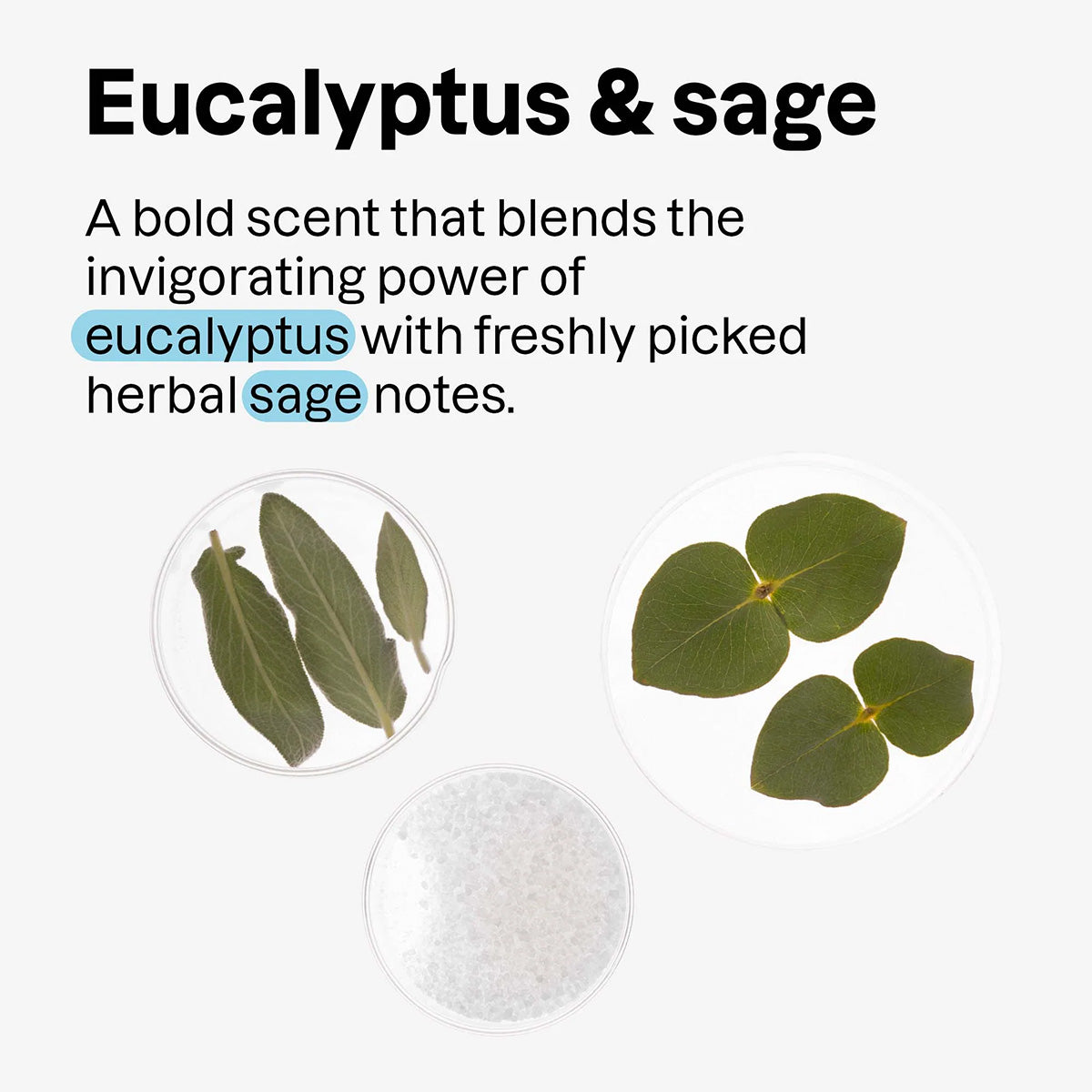 Super Leaves Men Deodorant Eukalyptus & Salbei 75 g