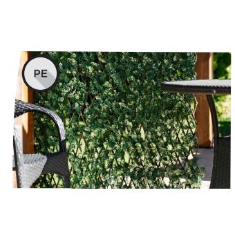 Treillis extensible en cyprès 1x1,5 m
