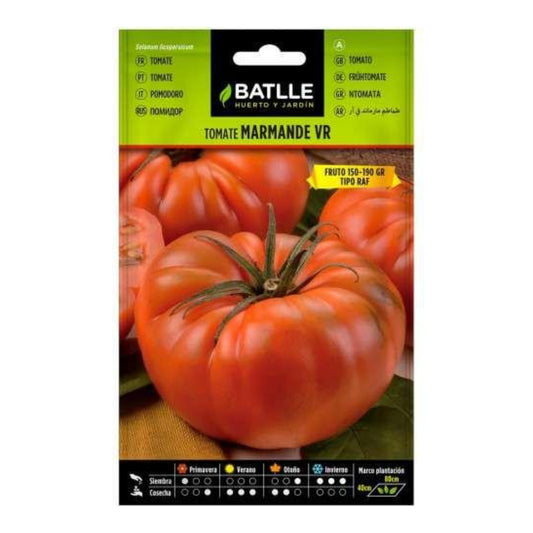 Semi di pomodoro Marmande VR Batlle