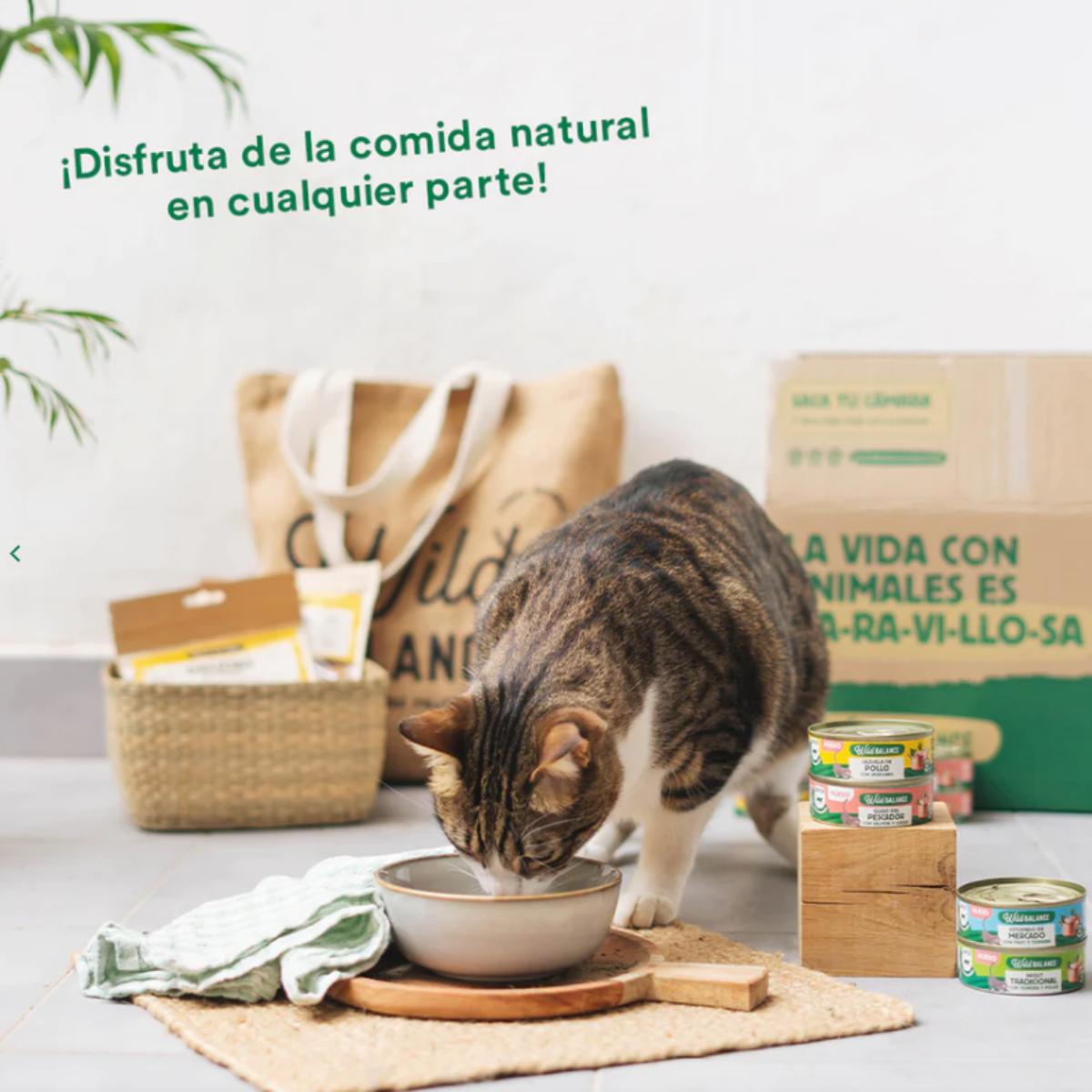 Lattina intera Ragù tradizionale di manzo e pollo per gatti Wild Balance 80 g