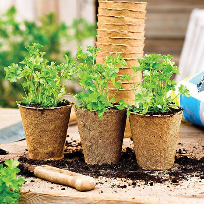 Rund fiberplantering för såbäddar Planeta Huerto 24 enheter