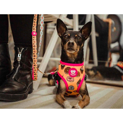Wendbares Hundegeschirr CUPCAKES Dukier XL