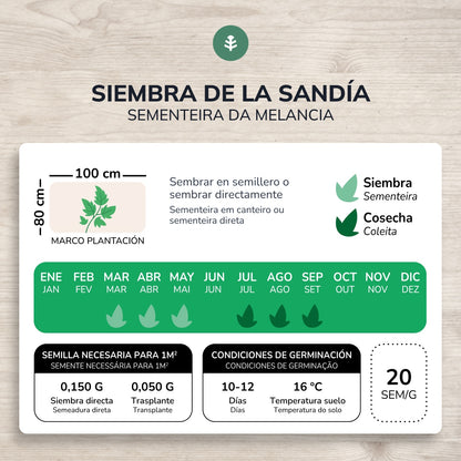 Karmozijnrode watermeloen zaden Planet Garden