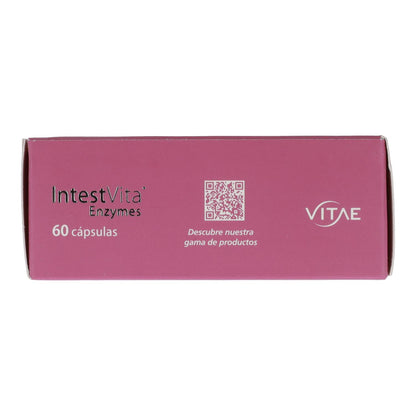 IntestVita Enzymes 60 capsule