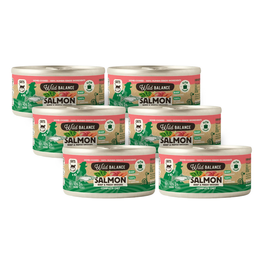 Pakket BARF-blikjes zalm en rundvlees voor katten 6 x 120 g Wild Balance