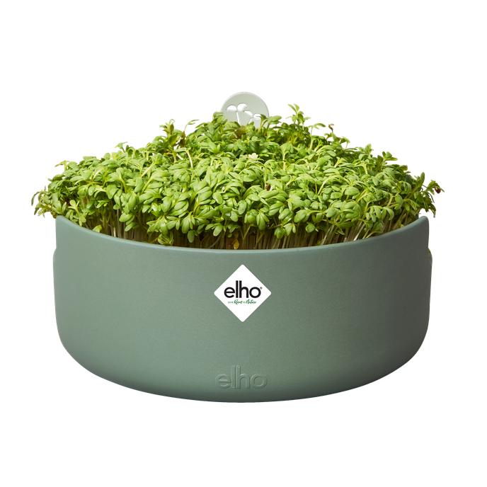 Kiemapparaat Magic Microgreens Elho Groen