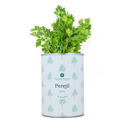 Aromatischer Anbau Kits Chest Pack Planeta Huerto