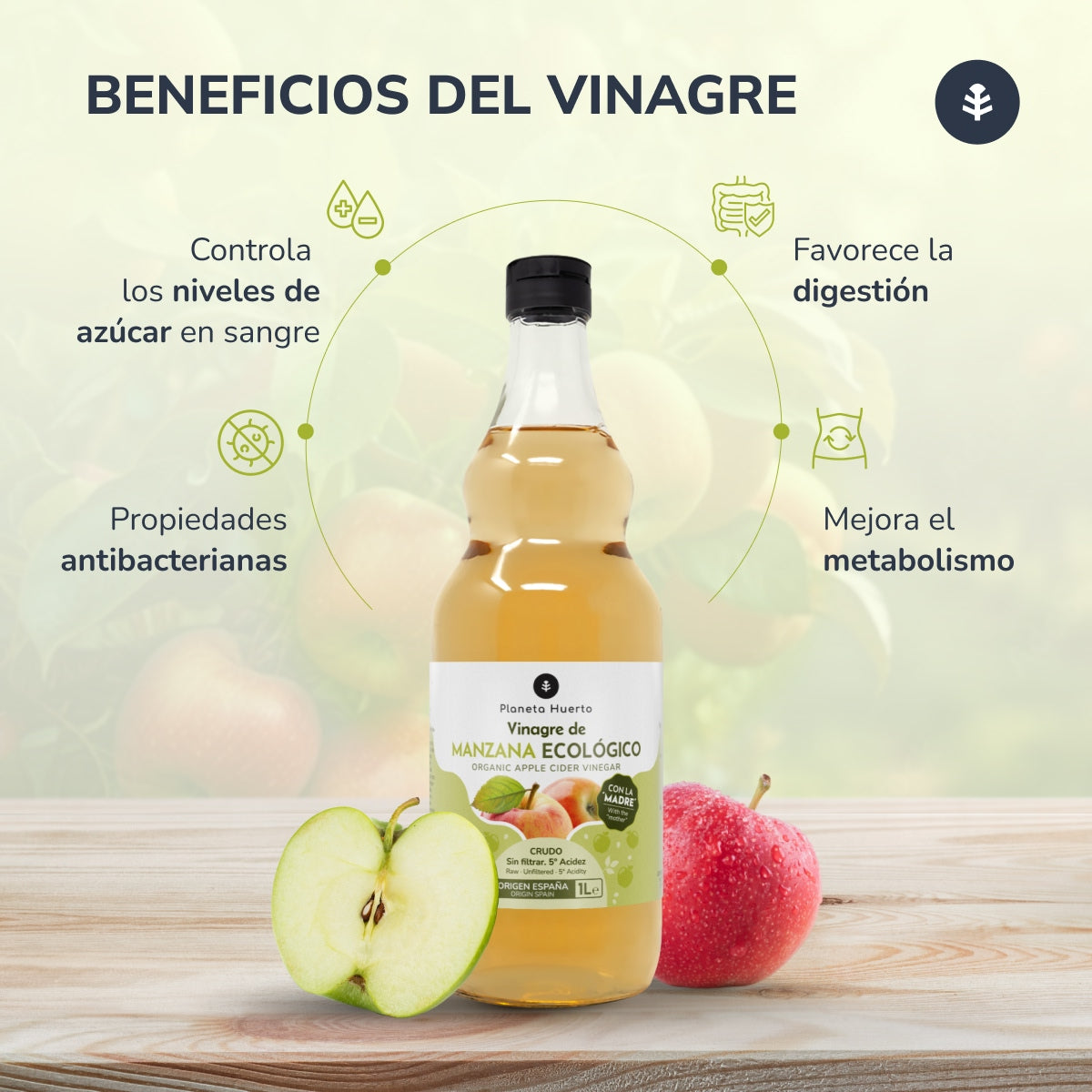 Pack 3 x Vinaigre de pomme ECO brut non filtré avec la mère Planeta Huerto 1 L
