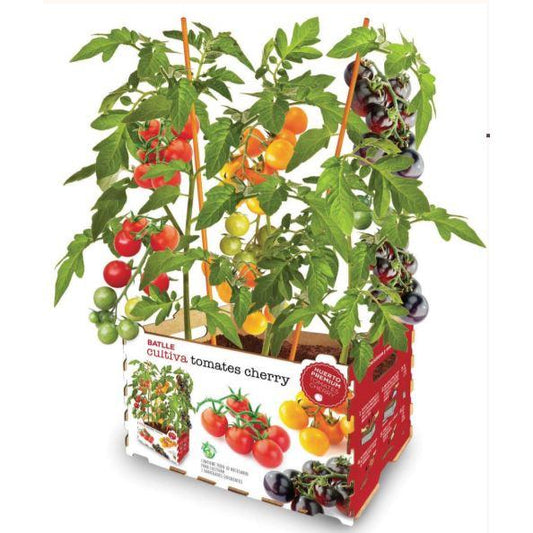 Premium Cherry Tomato Garden Batlle