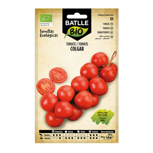 Semi di pomodoro da appendere selezione Domingo biologici Batlle