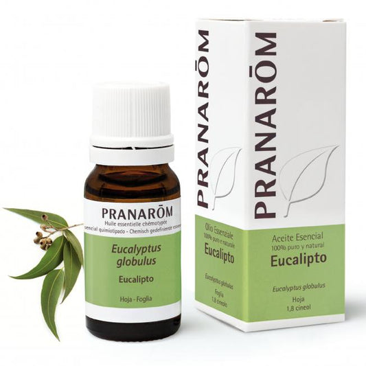 Eterisk olja Eucalyptus globulus Pranarom 10 ml
