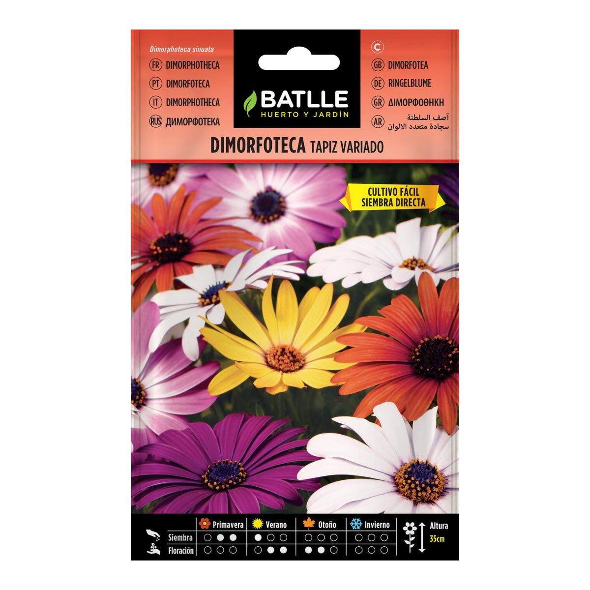 Graines de Dimorphotheca Tapis varié Batlle