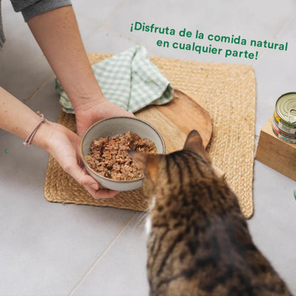 Dose Wild Balance Markt-Eintopf mit Truthahn und Rindfleisch für Katzen 80 g