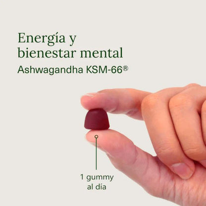 Ashwagandha i geléhallon med körsbärssmak Aldous Bio 120 geléhallon