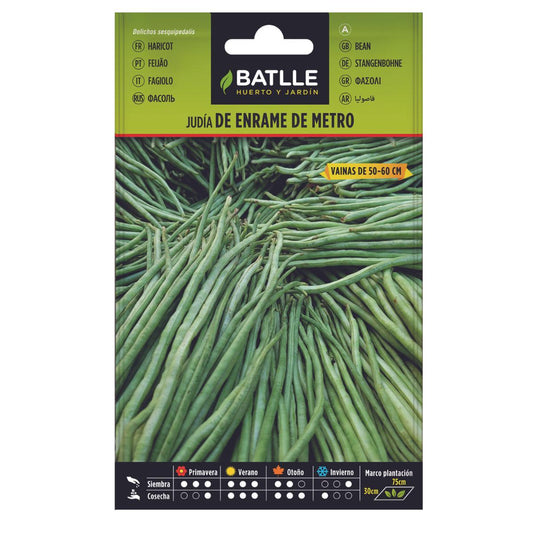Batlle metre-long climbing bean seeds