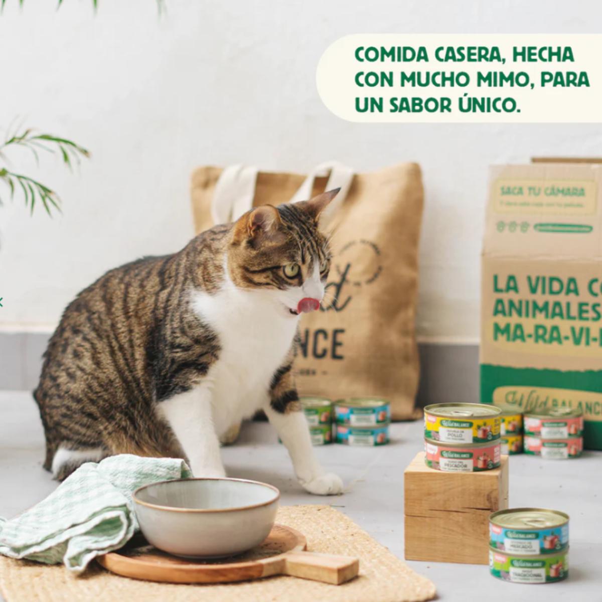 Lattina intera Ragù tradizionale di manzo e pollo per gatti Wild Balance 80 g