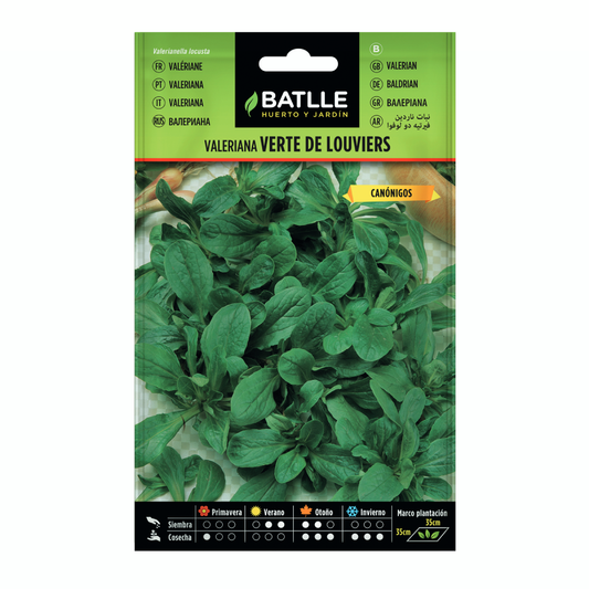 Valeriana Verte de Louviers-frön  Batlle