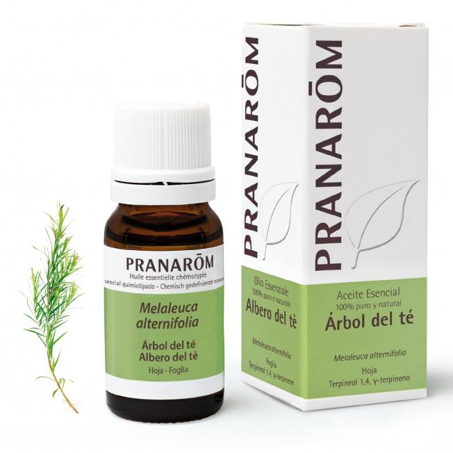 Aceite esencial Árbol del té Pranarôm 10 ml