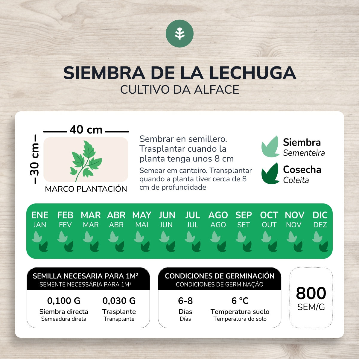 Ekologiczne nasiona sałaty rzymskiej Planeta Huerto