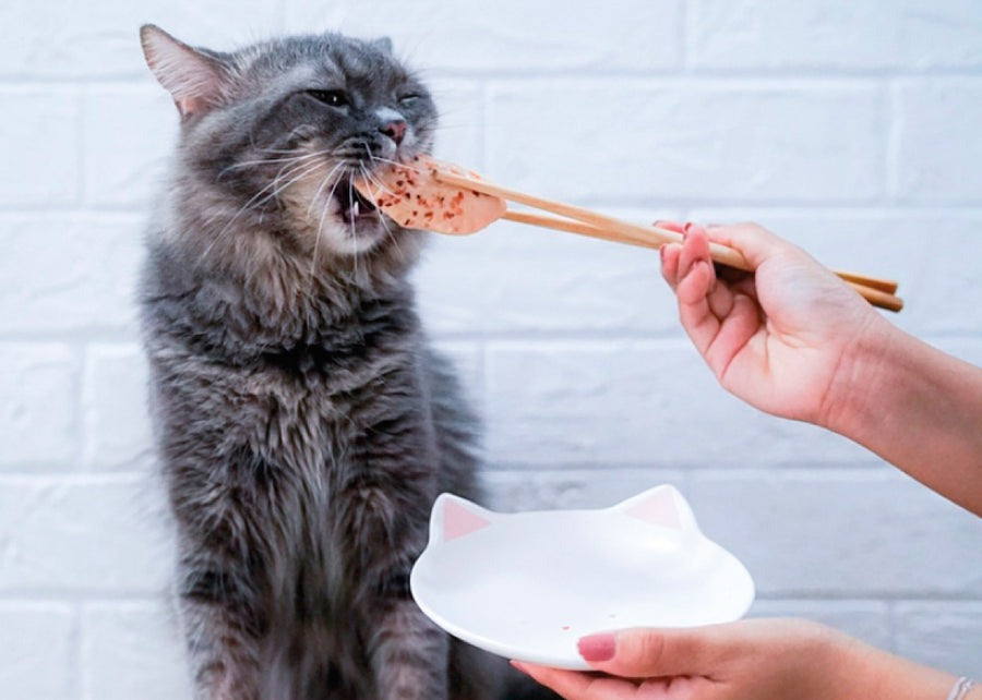 Kit Cat FilletFresh - Atún y Pescado Ahumado 30 g Snack natural para gatos