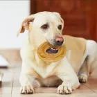 Geperste ring van kalfsleer Snack Natural Nobleza 20 stuks