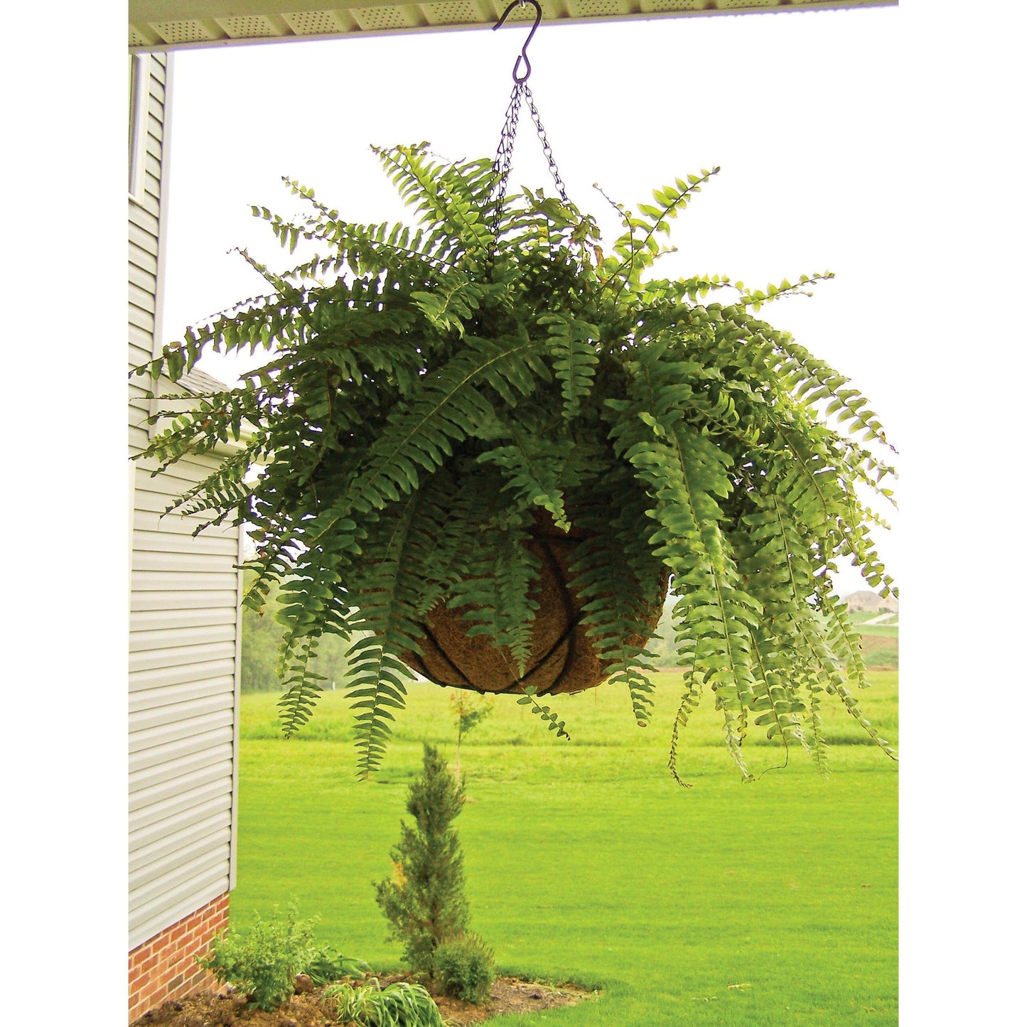 Półokrągły kosz wiszący