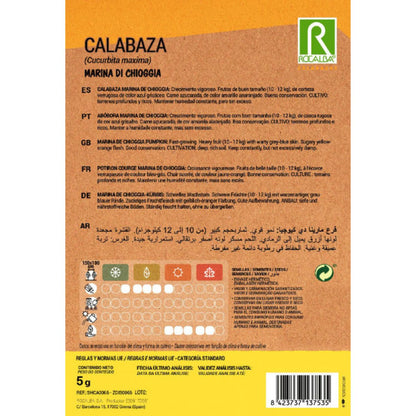 Graines de courge marine di chioggia