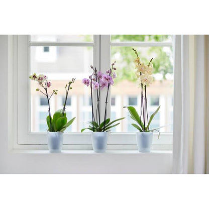 Orchideentopf Brussels High Elho Transparent