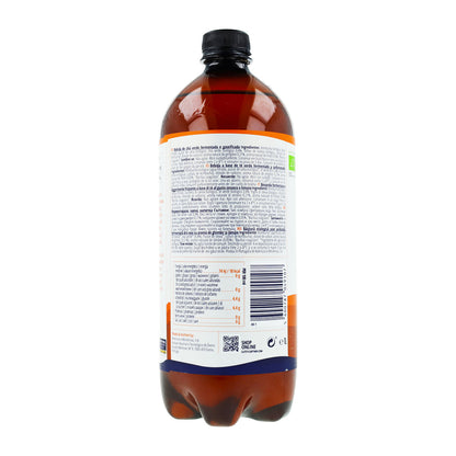 5600787049107_KombuchaJengibreLimon3.jpeg