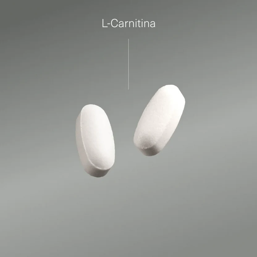 L Carnitina 2000 mg Aldous Bio 200 compresse