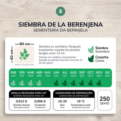 Organiczne długie fioletowe nasiona bakłażana Planeta Huerto