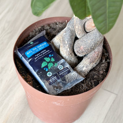 Pack 4 x Planet Garden Gel d'arrosage 400 ml