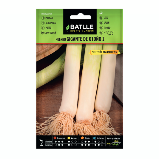 Giant Autumn Leek Seeds 2 sel. Blancanieves Batlle