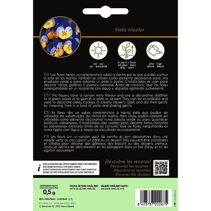 Graines de fleurs comestibles de pensée Rocalba