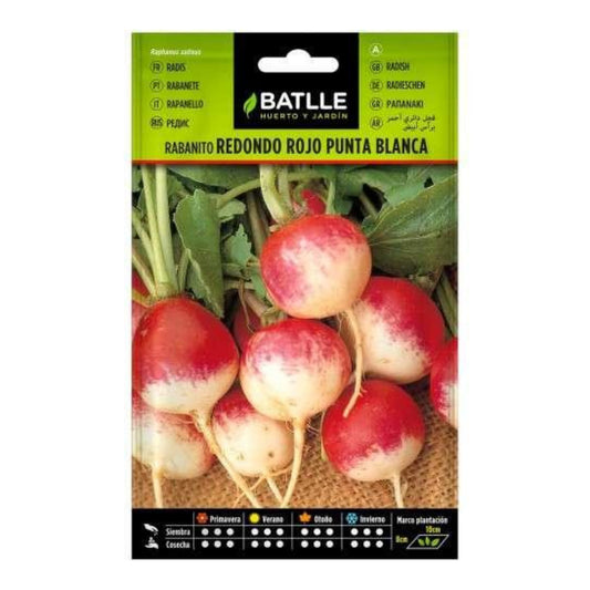 Batlle Round Red Radish Seeds with White Tips