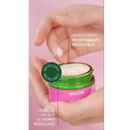 Glättende Nachtcreme mit Hagebutte und weißem Tee, Weleda, 40 ml