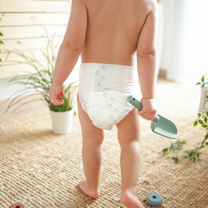 Pack Ahorro Pañales T6 XL (13-18kg) Pingo 64 unidades