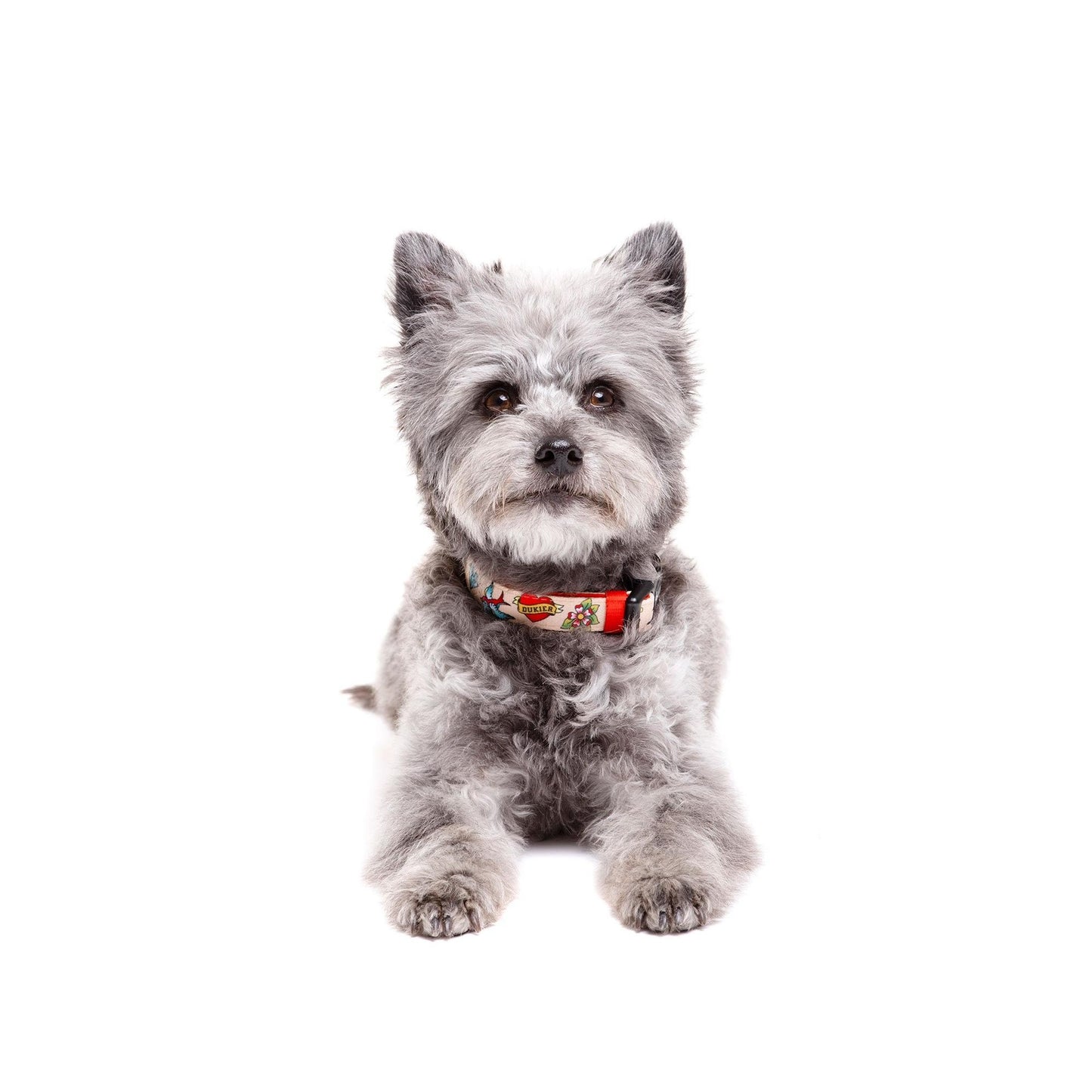 Obroża dla psa Tattoo Dukier L