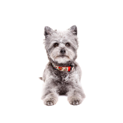 Obroża dla psa Tattoo Dukier L