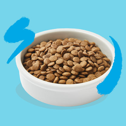 Croquettes pour chat au saumon frais Edgard & Cooper 4 kg
