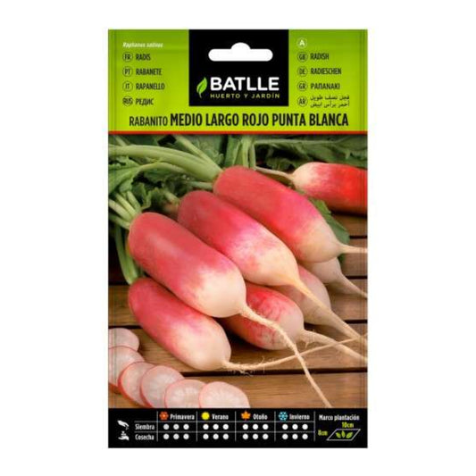 Medium-long red radish seeds with white tips Batlle