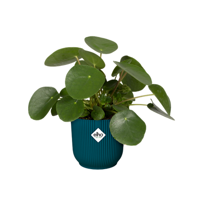 Blumentopf Vibes Fold Round Deep Blue Elho 30 cm