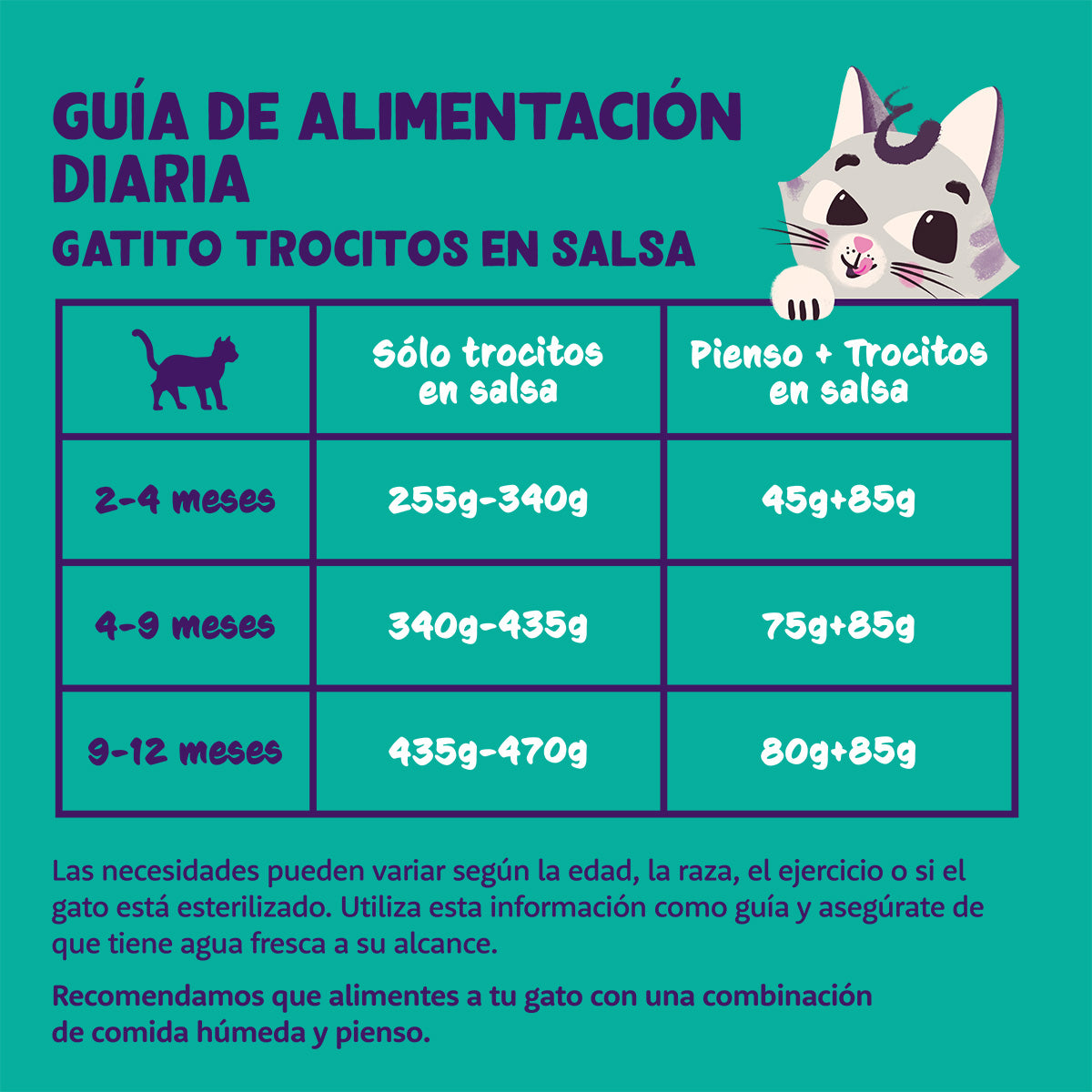 Cibo umido per gatti in salsa Pezzetti di tacchino e pollo Edgard & Cooper 85 g